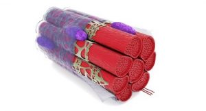 Schematic of what tissue fibres look like
